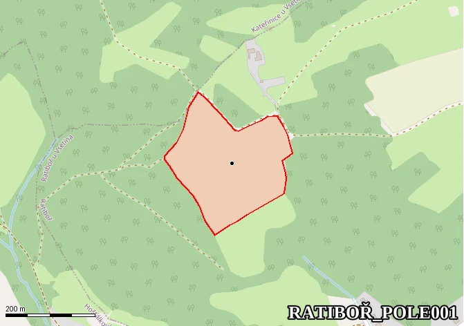 Pole nad penzionem HORA - hlavní ultimátní naleziště (obecná pozice)