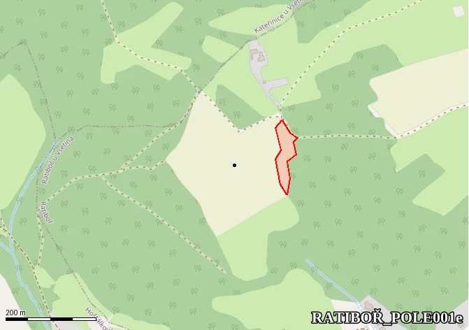 Pole nad penzionem HORA - hlavní ultimátní naleziště (pravá hrana)