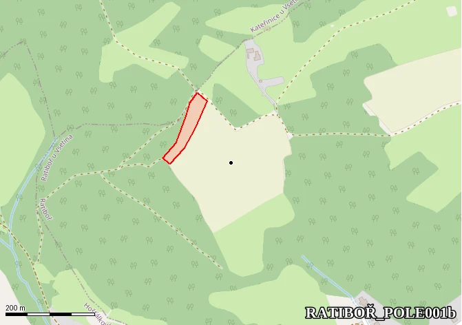 Pole nad penzionem HORA - hlavní ultimátní naleziště (zadní hrana)