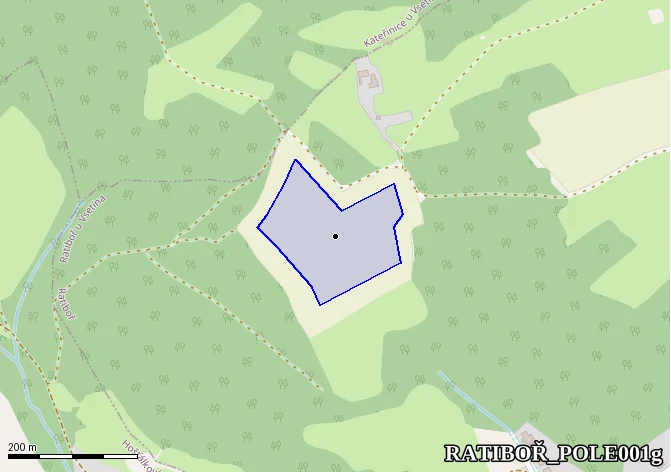 Pole nad penzionem HORA - hlavní ultimátní naleziště (střed)