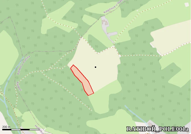 Pole nad penzionem HORA - hlavní ultimátní naleziště (levá hrana)