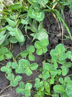 Nález #16910 – ZLÍN_JSVAHY-NSTR-S002