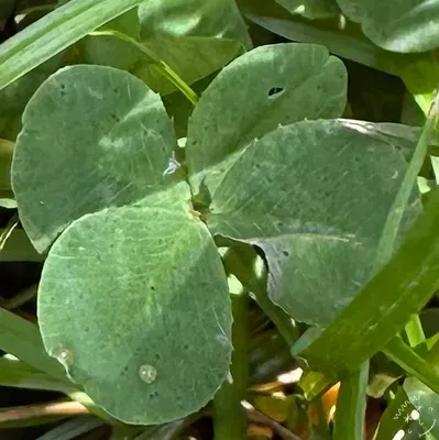 Find #21214
