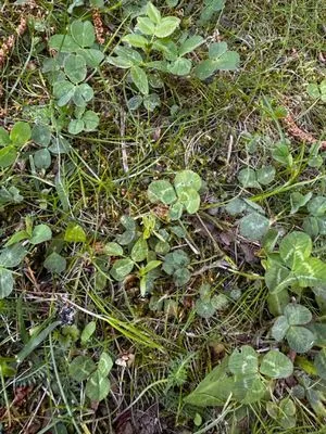 Find #17723 – ZLÍN_JSVAHY-UTB-U5-001