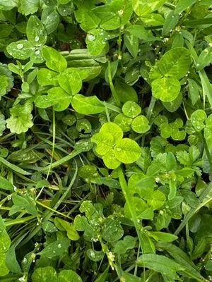 Nález #14764 – ZLÍN_JSVAHY-SLUNEČNÁ006