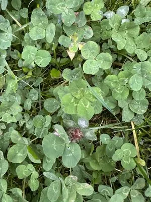 Nález #15489 – ZLÍN_HLUBOKÁ001