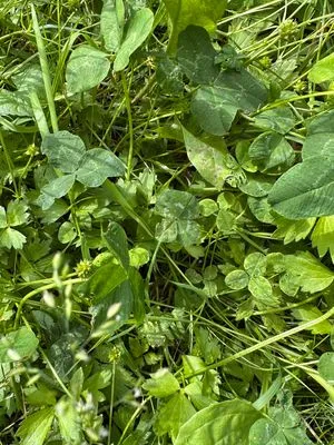 Find #21828 – ZLÍN_JSVAHY-BUDOVATELSKÁ002