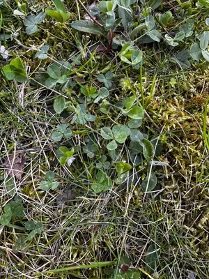 Nález #16332 – ZLÍN_JSVAHY-UTB-U5-001