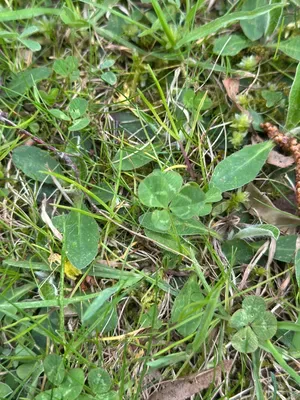 Nález #16934 – ZLÍN_JSVAHY-UTB-U5-001