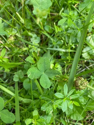 Nález #42 – ZLÍN_JSVAHY-UTB-U5-Z001