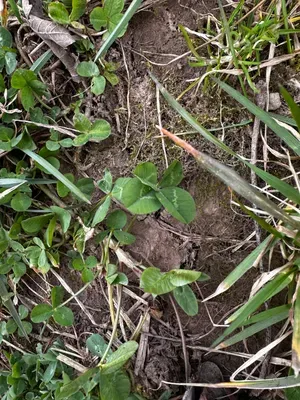 Nález #16217 – RATIBOŘ_POLE001b