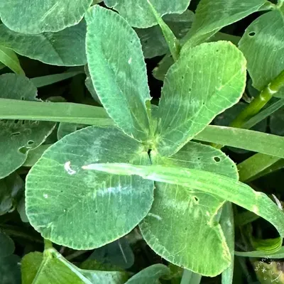 Nález #19254