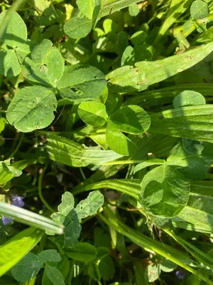 Nález #148 – NEEXISTUJE-ZLÍN_JSVAHY-JAVOROVÁ002