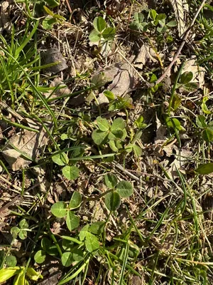 Nález #15931 – ZLÍN_JSVAHY-UTB-U5-002