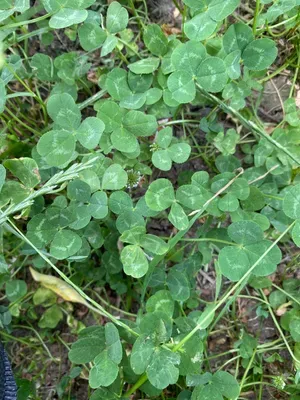 Nález #9 – ZLÍN_JSVAHY-NSTR000