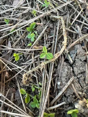 Nález #15904 – ZLÍN_JSVAHY-SPORTOVNÍ001