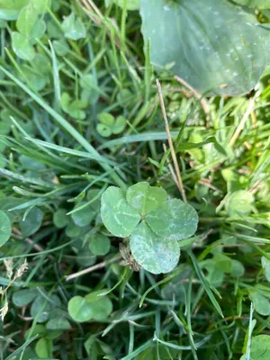 Nález #93 – ZLÍN_JSVAHY-OKRUŽNÍ-KOSTEL002