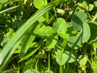 Nález #144 – NEEXISTUJE-ZLÍN_JSVAHY-JAVOROVÁ002