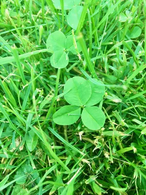 Anonymizovaný nález č. 7