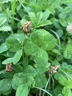 Nález #92 – HOŠŤÁLKOVÁ001