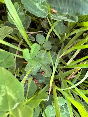 Nález #19622