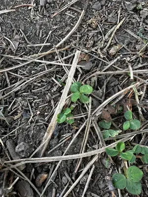 Nález #16093 – ZLÍN_JSVAHY-SPORTOVNÍ001