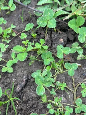 Nález #16911 – ZLÍN_JSVAHY-NSTR-S002