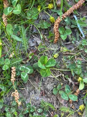 Nález #16945 – ZLÍN_JSVAHY-UTB-U5-001b