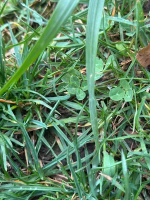 Nález #16918 – ZLÍN_JSVAHY-NSTR-S002