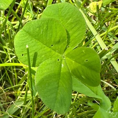 Nález #2401