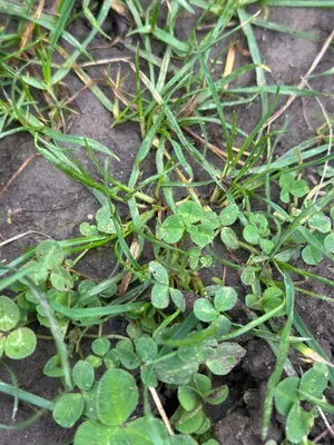 Nález #16915 – ZLÍN_JSVAHY-NSTR-S002