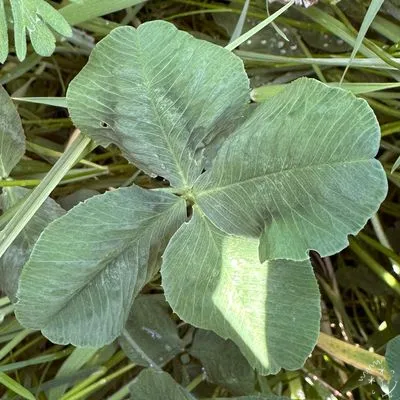 Nález #7906
