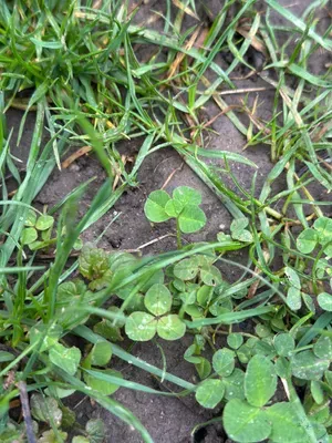 Nález #16913 – ZLÍN_JSVAHY-NSTR-S002