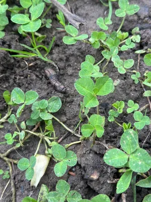 Nález #16916 – ZLÍN_JSVAHY-NSTR-S002