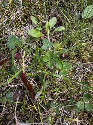 Nález #16649 – ZLÍN_JSVAHY-UTB-U5-001