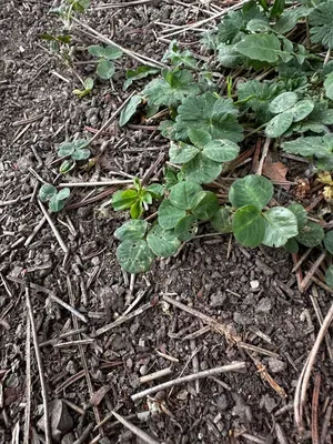 Nález #16655 – ZLÍN_JSVAHY-SPORTOVNÍ001