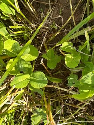 Nález #21790