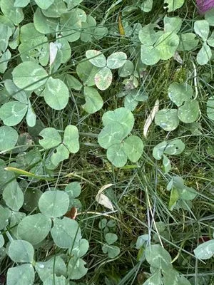 Nález #15485 – ZLÍN_HLUBOKÁ001