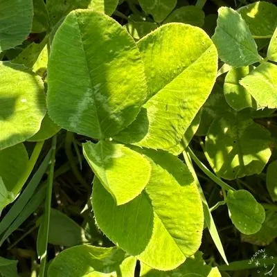Nález #9642
