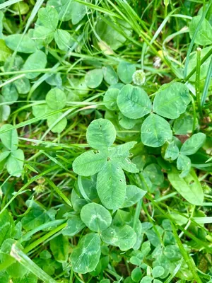 Nález #8 – ZLÍN_BUREŠOV001