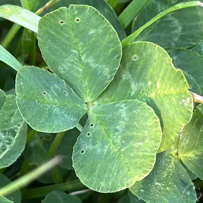 Nález #17761