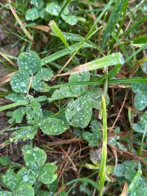Nález #15710