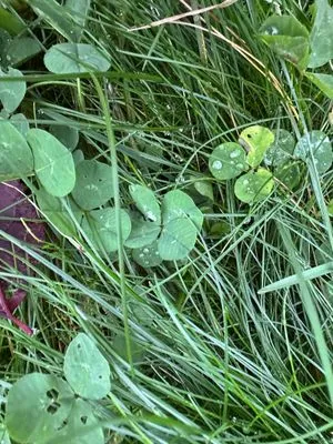 Nález #15492 – ZLÍN_HLUBOKÁ001