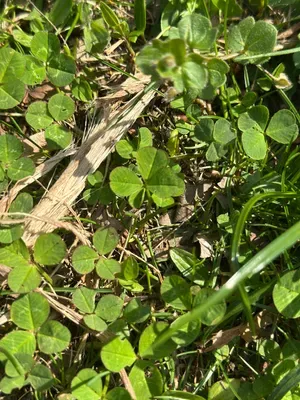 Nález #16909 – ZLÍN_JSVAHY-UTB-U5-002