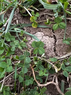 Nález #16218 – RATIBOŘ_POLE001b