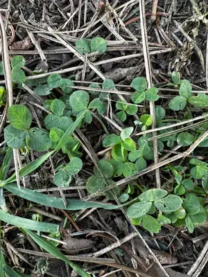 Nález #16094 – ZLÍN_JSVAHY-SPORTOVNÍ001