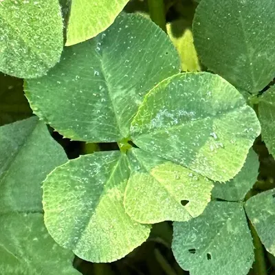 Find #12476