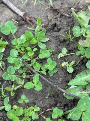 Nález #16912 – ZLÍN_JSVAHY-NSTR-S002