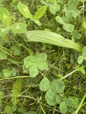 Nález č. 20 – Před hlavním vchodem U5 za lavečkama