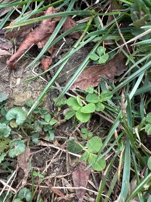 Nález #15932 – ZLÍN_JSVAHY-NSTR-T007